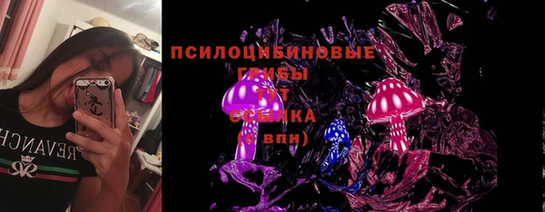 стаф Алексеевка