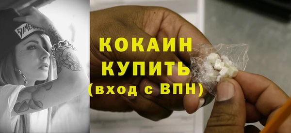 хмурый Абаза