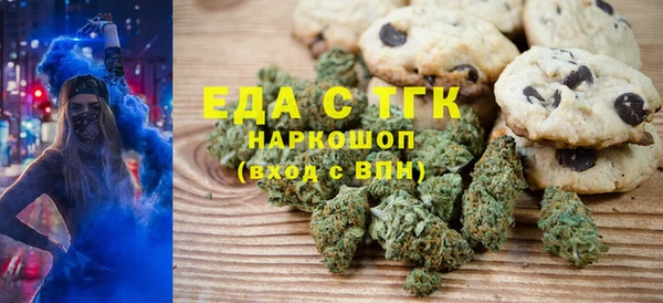 хмурый Абаза