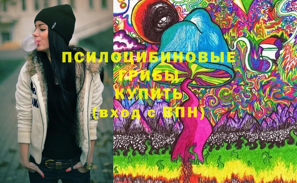 шишки Семилуки