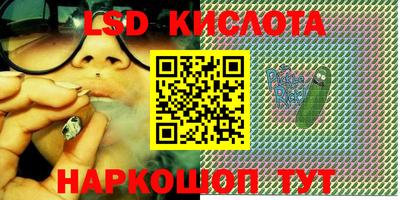 прущие грибы Коммунар
