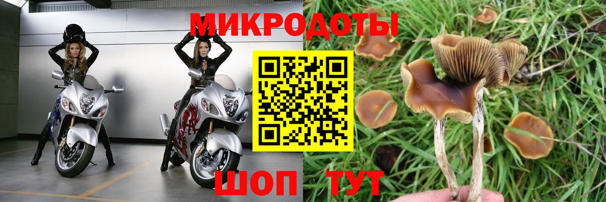Псилоцибиновые грибы ЛСД Арсеньев